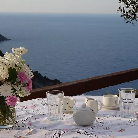 Rose 펜션 글로사