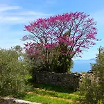 Rose Σπίτι διακοπών *