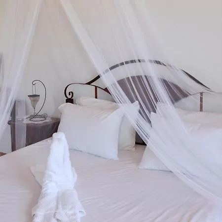 Rose Prázdninový dům Glossa